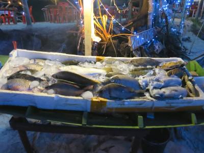 Auslage mit Fisch in einem Strandrestaurant in Thailand